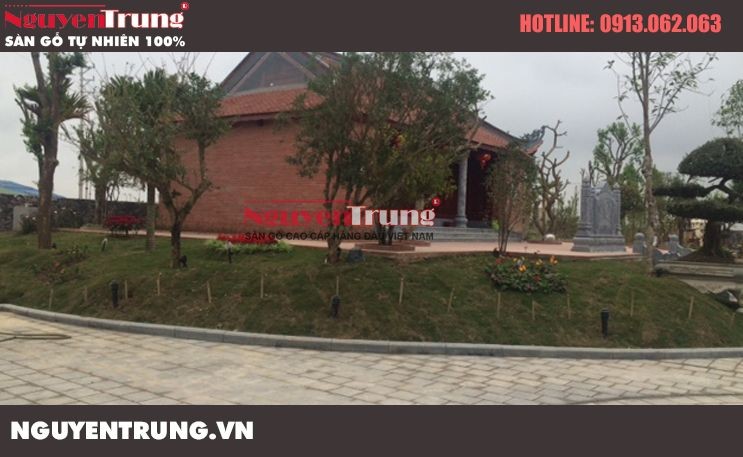 Sàn gỗ tự nhiên có bị mối mọt không