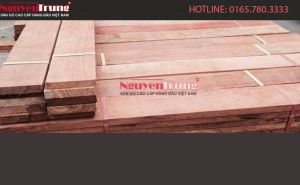 Không gian xanh giúp trẻ sống hạnh phúc và tích hơn