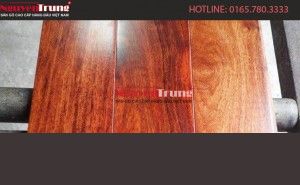 12205032_719583488177674_1112617114_n