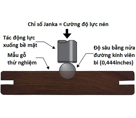 Độ bền của sàn gỗ tự nhiên